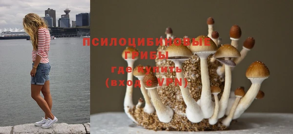 прущая мука Абаза
