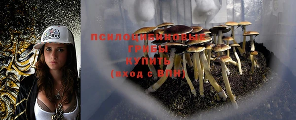 спайс Абдулино