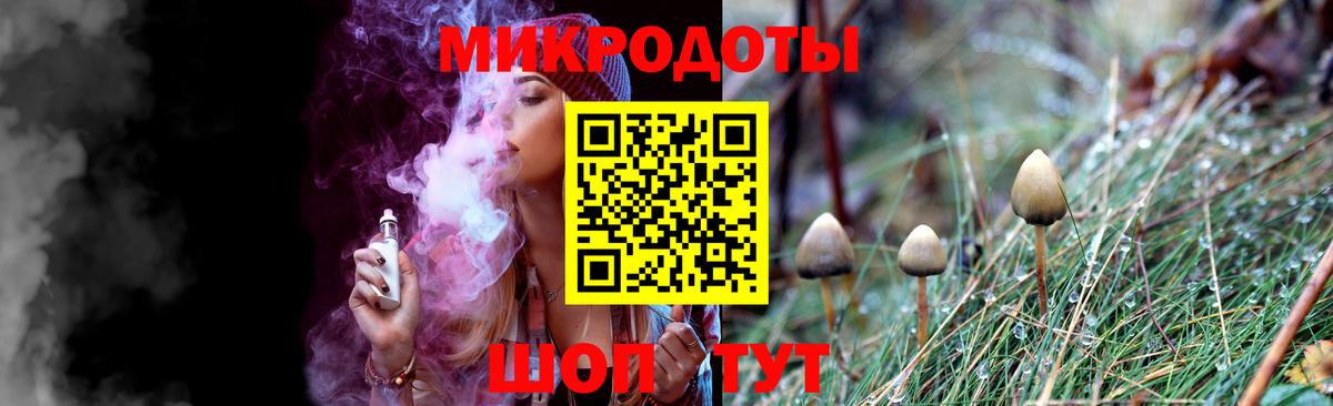 как найти   Псилоцибиновые грибы прущие грибы  Вход с VPN  Майский 