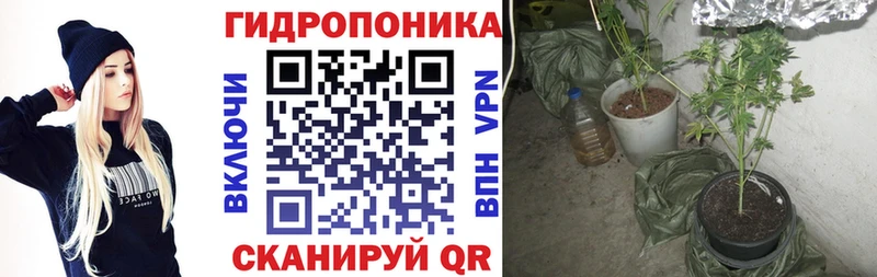 как найти наркотики  Майский  Каннабис OG Kush 